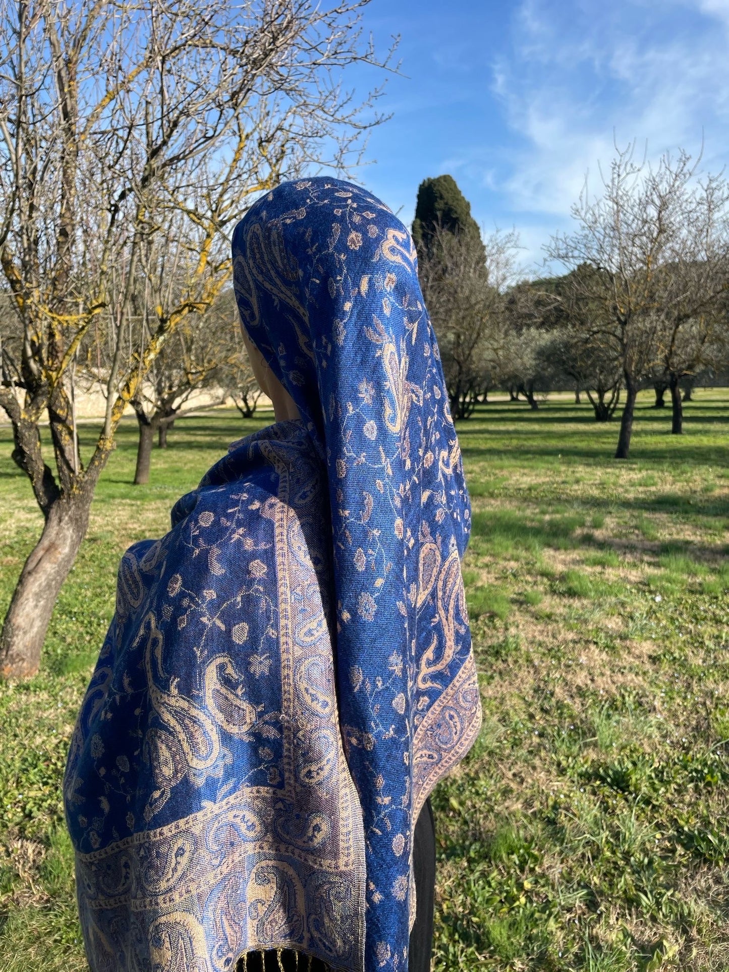 Le Pashmima Bleu